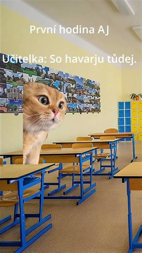 POV: Kočky ráno #roblox #tutorials #adoptme #cz