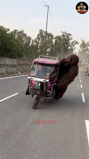 Gorilla Ne Kari fight today Vip prank