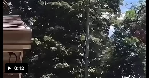 He had the absolute screem for that scene - WTF