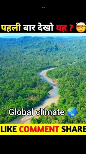 Amazon Rainforest Ko Dharti Ke Fefde Kyu Kaha Jata Hai? 🌍 | Amazing Facts Hindi #shorts #facts