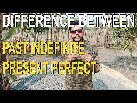 DIFFERENCE BETWEEN PAST INDEFINITE AND PRESENT PERFECT
