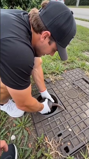 Cute Armadillo Stuck In Hole Rescued! #animalrescue #armadillo #wildlife