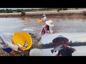 Traditional Fishing in Vietnam's Mekong Delta/Exploring the Rivers of the West - Tằm Viễn Farm Life