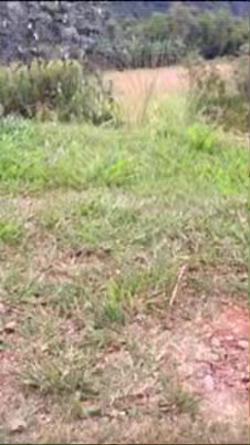 3 comments | Hector Rodriguez on Reels | Facebook