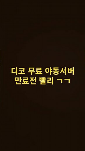 디코 무료 야동서버