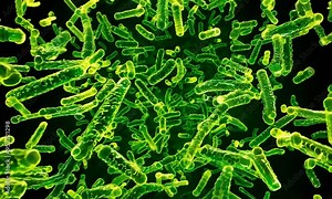Dynamic Microscopic View of Green Bacteria Swarming and Growing, 3D Animation of Pathogenic Microorganisms in Action, Bacterial Growth and Expansion