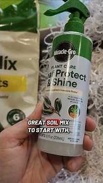 Keeping My House Plants Alive With Some Help From Miracle-Gro