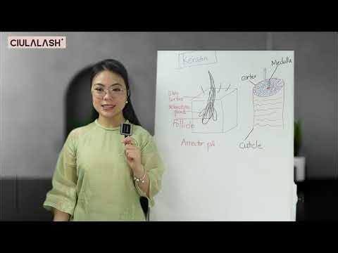 (Part 7) Full Lash Lift Step-by-Step (2026) | Beginner Lash Lift Tutorial with Real Model Results