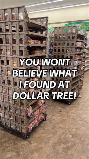 OMG MY DOLLAR TREE IS A PEPPERIDGE FARM BREAD OUTLET?!? 😱🙌🏻 #dollartree #dollartreefinds | Dollar Tree Dollie