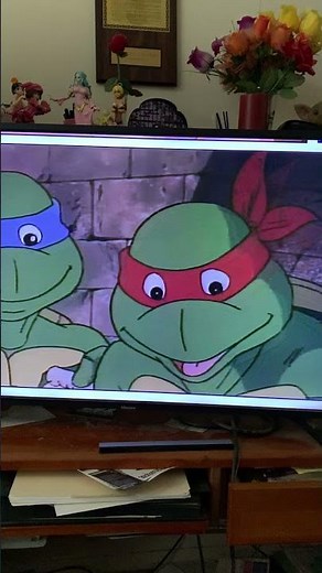 Home chef commercial x TMNT 87 ad !