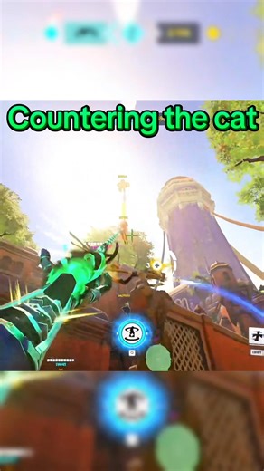 Mizuki chain vs cat tether is such a fun matchup #overwatch #gaming #spicygator #mizuki #ow2