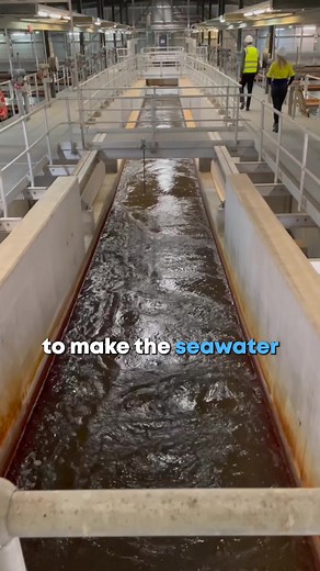 Sydney Desalination Plant: Turning Seawater into Drinking Water