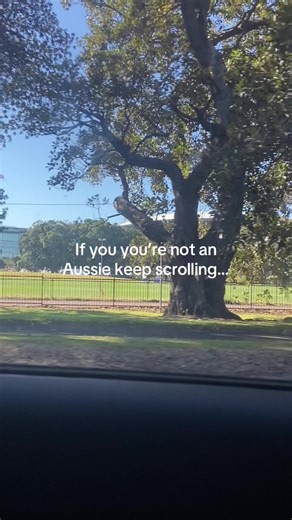 Discover True Aussie Culture and Traditions