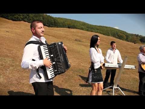 Ionel Ionelule - Formatia Monden