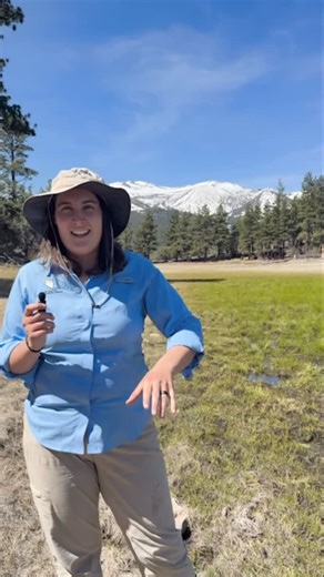 What is a Vernal Pool? 💧 Chantal - our Wetland Program Coordinator at the Nevada Division of Natural Heritage - takes us to one of Northern Nevada’s vernal pools to explain it. Vernal Pools are rare, seasonal wetlands that fill with rain and snowmelt in the winter and dry up in the summer. Fewer than a dozen have been documented in Nevada, but they play an important role in supporting plants and wildlife. NDNH is collecting data to better understand these unique habitats and rare species that d