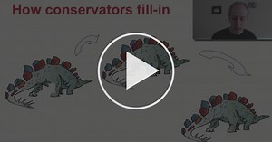 Image and Video Processing: From Mars to Hollywood with a Stop at the Hospital