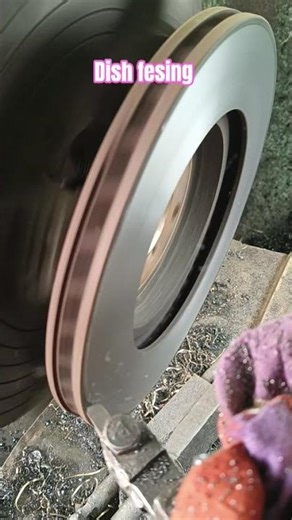 dish fesing laike follow