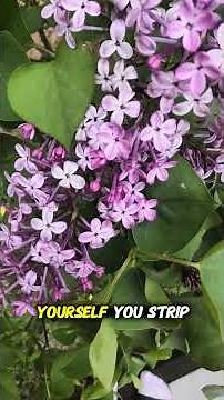 FIX YOURSELF | Start Becoming the Person You Were Meant to Be