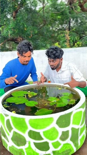 🔥😱pond வேற மாதிரி ஆக்கப் போறோம் 🔥 Lilly plant | balasvoyage