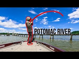 Potomac River Summertime GRASS and DOCK FISHING (Unexpected catch) || ALPHA SERIES