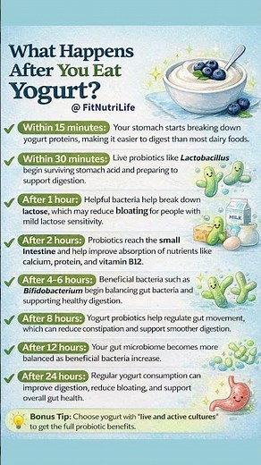 Eat Yogurt & Watch This Happen to Your Gut 😱 (Hour by Hour) #healthylifestyle