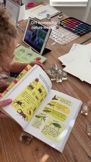 DIY Homeschool Nature Lesson 🐞