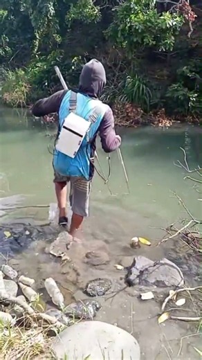 ikan sungai batu