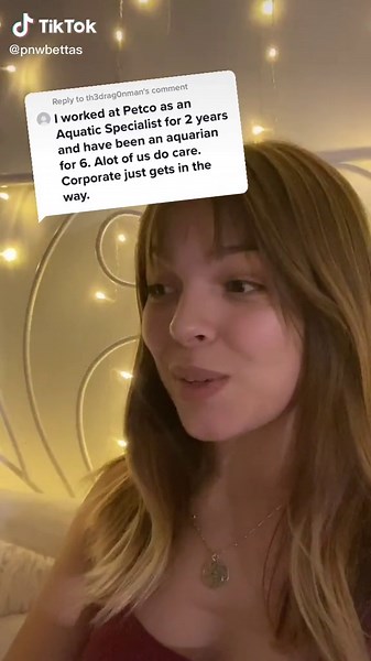 Clarifying Fishkeeping Tips for Betta Fish | Petco vs. Petsmart