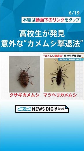 カメムシ大量発生の高校を救ったのは｢身近なアレ｣だった 生徒が8か月の探究で見つけた意外な“撃退法” 岐阜･飛騨市