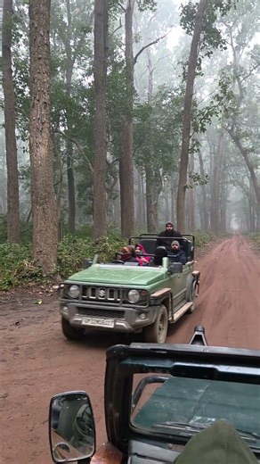 on a very cold, misty morning at #dudhwatigerreserve