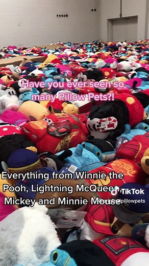 Pillow Pets on TikTok