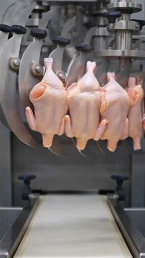 Modern chicken cutting machine 🐔🐔