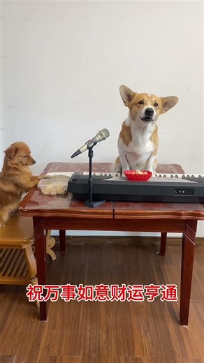 Double Dog Collaboration - Yun Gong Xun Yin's 'Get Rich' Song