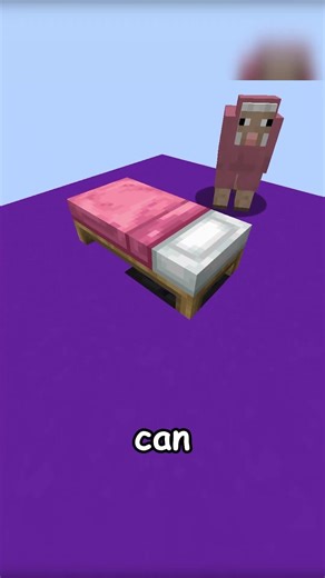 MINECRAFT'S VOID DIMENSION!!!