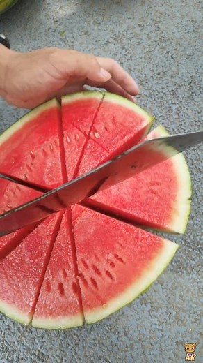 Fresh Watermelon Cutting #reels #watermelon #freshwatermelon #watermeloncutting #freshfruits #fruits #fruitfulharvesting #farming #farmer #fruitcutting #cuttingskill #viral #trending | Fruitfulharvesting