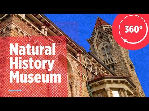 360-degree tour of KU’s Natural History Museum