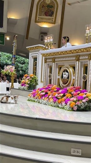 Fur baby visit a chapel during Easter