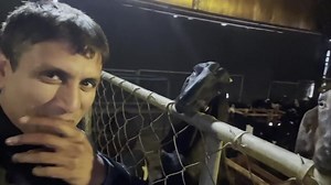 Goat 🐐 Kiss 💋 | Goat Land Farms