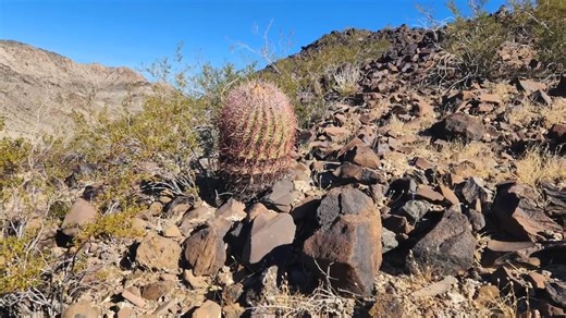 He crossed harsh desert ground to reach a volcanic secret in the American West