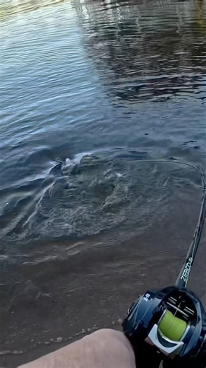 What an absolutely GIANT fish! My PB for sure! #fishing #kastking