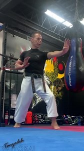 67K views · 5.5K reactions | tanzadeh ”Excellence is never an accident; it is the result of high intention, sincere effort, intelligent direction, skillful execution and the vision to see obstacles as opportunities.” Do it with Passion! Stay Motivated! @tanzadeh | Karate Techniques | Facebook