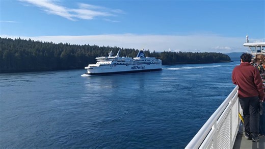 Made to next sleeping place | Elmo Hewlett