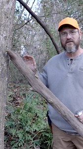 150K views · 963 reactions | Building a squirrel pole #camping #survivalskills #survival #bushcraft #primitivecamping #speiroutdoors | Speir Outdoors | Facebook