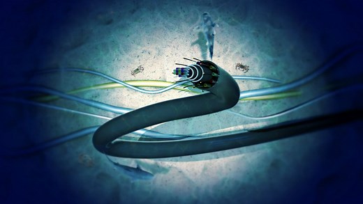 Câbles sous-marins : tout savoir sur le système nerveux de l’Internet