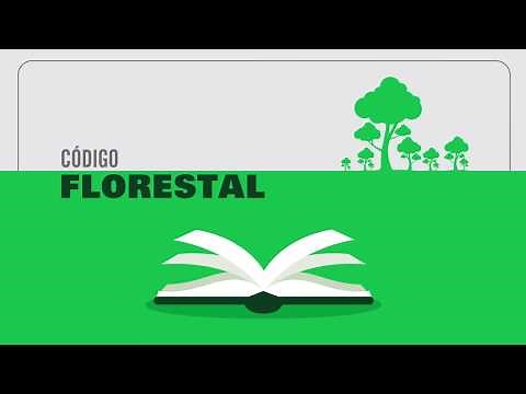Você conhece o Código Florestal?