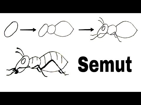 CARA MENGGAMBAR SEMUT YANG MUDAH