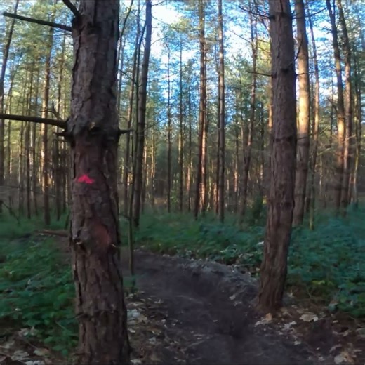 Massive Crash on Wooden Jump - MTB FAILS
