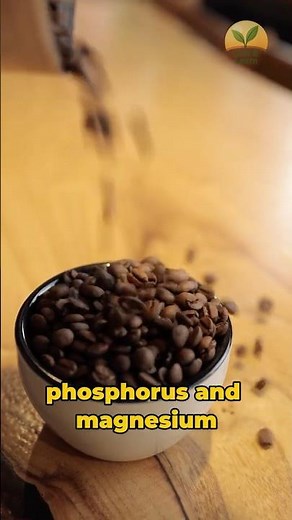 Coffee Grounds: The Secret to Healthier Plants ☕🌱