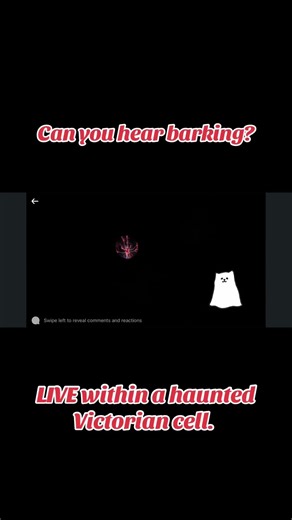 The sound of a ghostly dog bark on a live paranormal investigation with a Victorian cell.