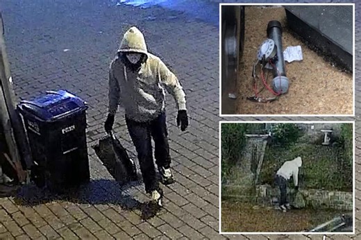 Inside the Jan. 6 pipe bomb case that sparked slew of wild cover-up conspiracy theories